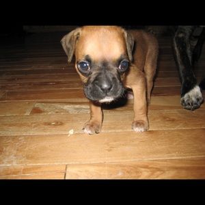 Meet your Posher, Randy